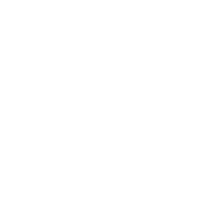 twitter-bird